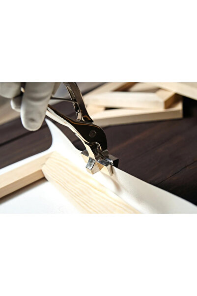 PrintiesPlus Lavabo Ve Banyo Için Kanvas Kedi Tablosu 2