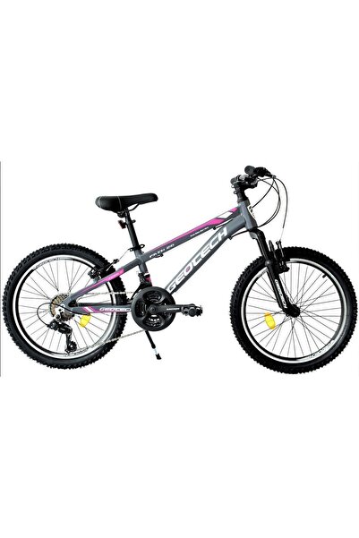 Geotech Path 20 Econ 2 20 Jant 21 Vites Çocuk Bisikleti - Gri Pembe