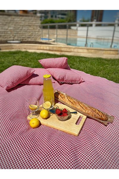 Soft Colours Authentic Retro Red Gingham Picnic Cloth and 4 Cushion Set Balcony Set
