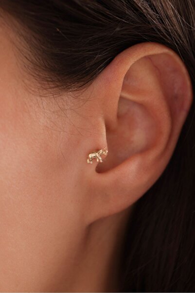Gianfranco 14 Ayar Altın Fil Tragus Küpe