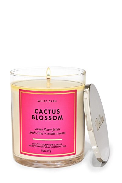 Bath & Body Works Cactus Blossom Orta Boy Mum 227 g
