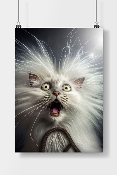 Luna Marissa Şaşkın Kedi Poster Çerçevesiz Duvar Posteri