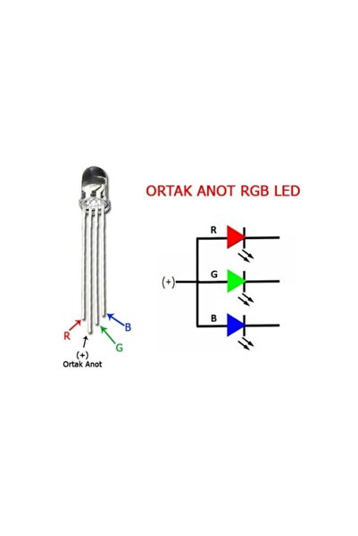 Arduino Projeleri Rgb Led Ortak Anot 5 Adet 5mm