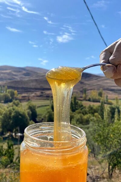 Genel Markalar Süzme Bal - 400 Gram