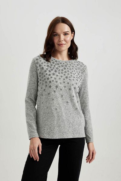 DeFacto Crew Neck Long Sleeve Traditional Fit T-shirt B5185ax23wn