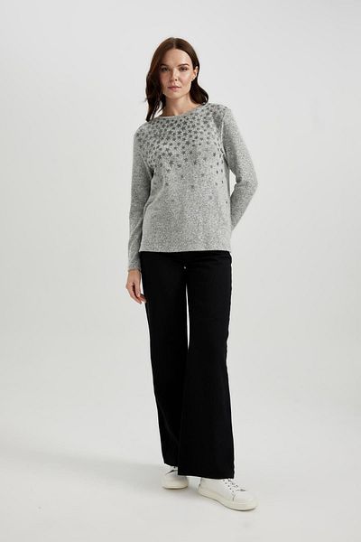 DeFacto Crew Neck Long Sleeve Traditional Fit T-shirt B5185ax23wn