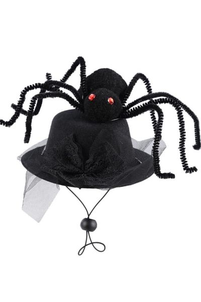 RAIKOU Halloween Pet Spider Hat
