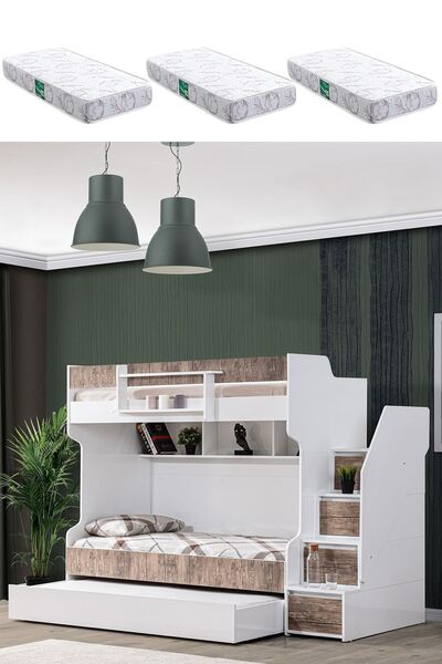 Setay Ranza, Cesur Yavrulu Ranza - Ceviz 3 Adet Comfort Yatak