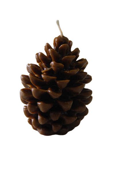 CAN Christmas Cone Candle 8 Cm