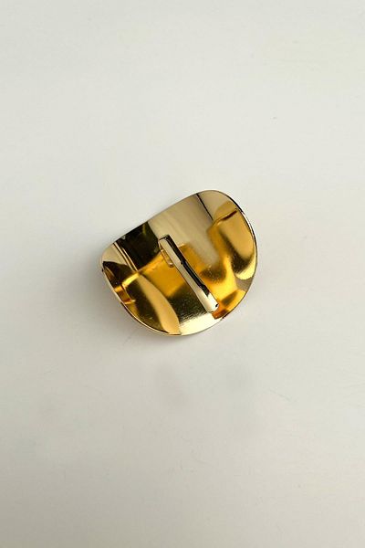 Modex Oval Plate Curved Hair Clasp (Width 4 cm)