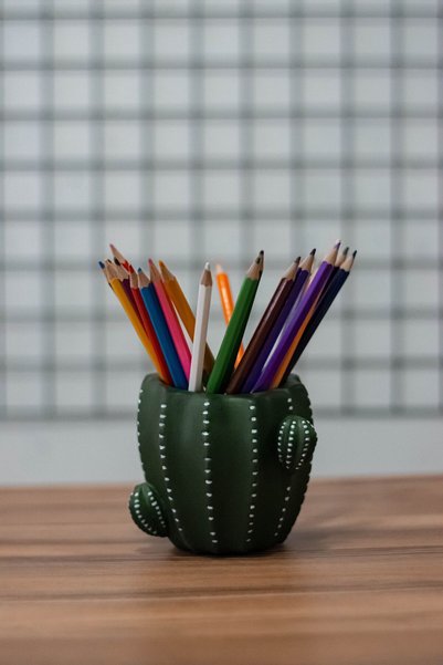 PAYATASARIM Cactus Pen Holder And Flower Pot