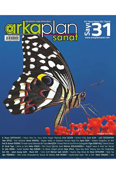 Dergisi 31. Sayı