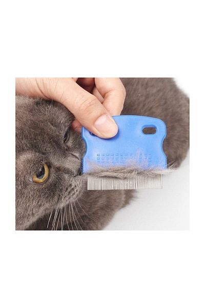 CMT Cat Dog Flea And Flea Comb