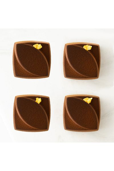 Greyas Cm 4066 Polycarbonate Chocolate Mold