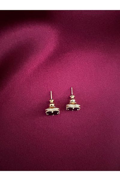 Vaveyla Steel Written Top Segment Vip Model Earrings