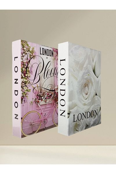 BayCazip 2-Piece Decorative Book Look Box Set