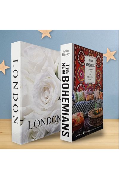 BayCazip 2-Piece Decorative Book Look Box Set