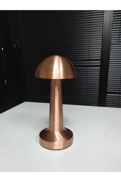 Helios Opto 3 Fonksiyonlu Masa Üstü Aydınlatma