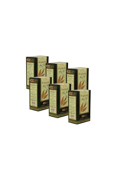 BEY ÇAY Walanda 500 gr X 6 Pieces (FIRST HASAT ELECTRIC MAY TEA)