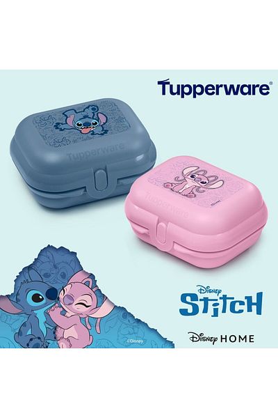 Tupperware Mini Carrying Container -Setof 2 Blue and Pink