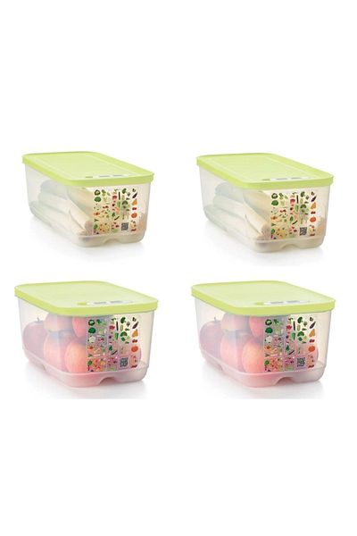 Tupperware Greenhouse Set