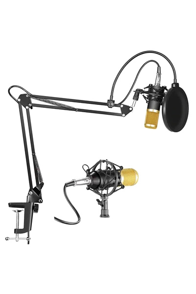 ThenTech Profesyonel Kondansatör Mikrofon Seti Ses Kartı Komple Set Profesyonel Yayıncılar İçin Mikrofon Set