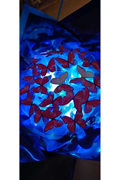 Redblue ledli kırmızı kelebek buketi