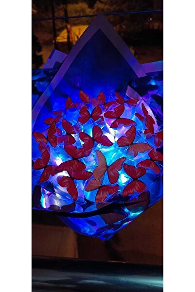 Redblue ledli kırmızı kelebek buketi