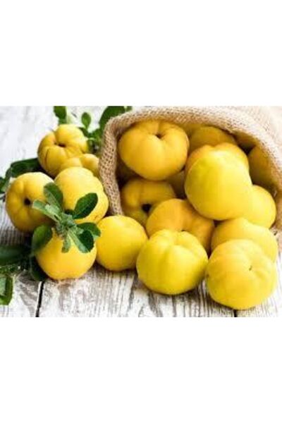 Hamile Marketim Taze Ayva 330-500 gr Arası