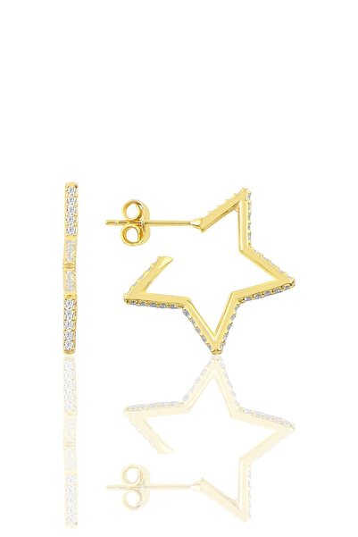 Söğütlü Silver Gümüş Altın Yaldızlı Zirkon Taşlı Star Küpe Sgtl11859gold
