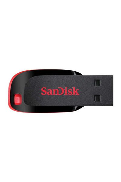 SanDisk 32 GB Flash Disk TF20