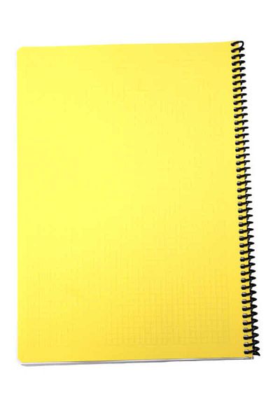 Mynote Flex A4 72 Sheets Checked Spiral Plastic Cover Notebook Pastel