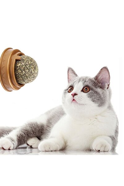 Genel Markalar Kedi Otu Oyun Topu Cat Mint (çift Taraflı Bantlı Kedi Naneli Oyun Topu)