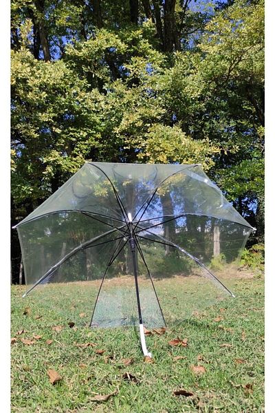 Mia Transparent Walking Stick Umbrella