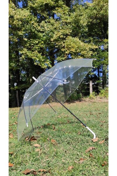 Mia Transparent Walking Stick Umbrella