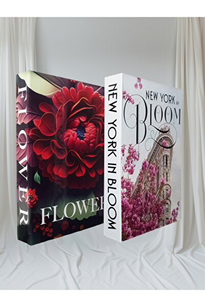 BayCazip 2-Piece Decorative Book Look Box Set