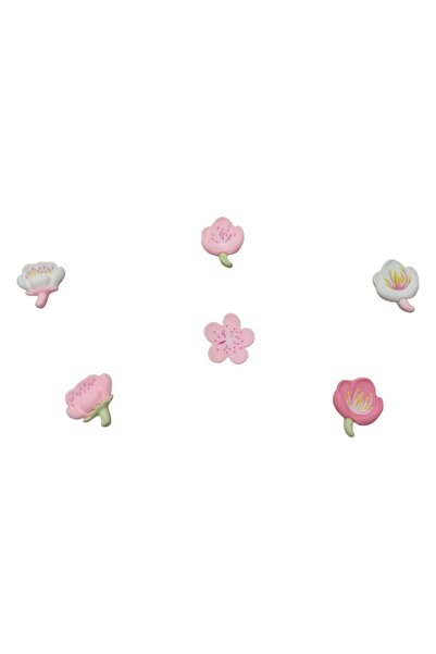 Mizan Ticaret Reçine çiçek terlik süsü jibbitz taş seti 6 lı