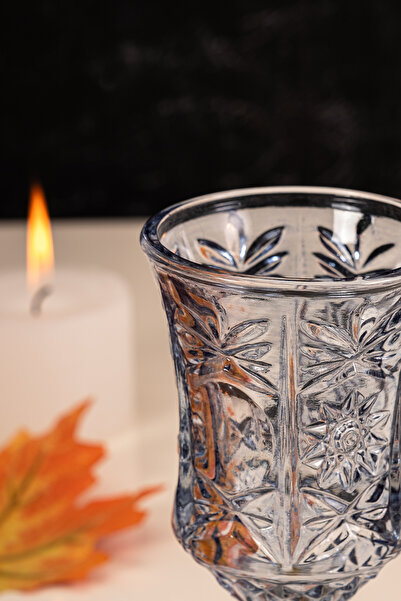 MEST Cool 6-Piece Glass Coffee Water Cup Set with Feet - 3 Colors 210 Cc