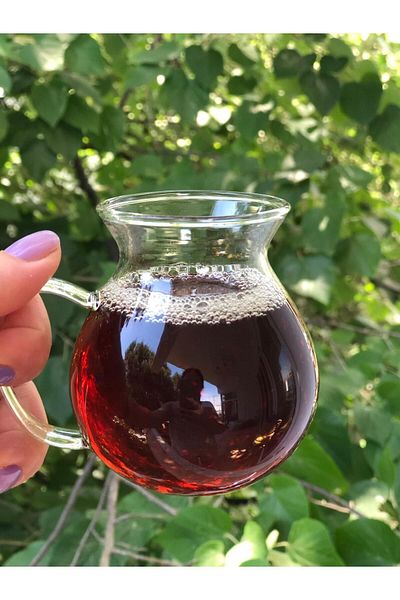 doğanhome Pack of 2 Arbitrary Ala Borosilicate Glass Tea Coffee Glass with Handle 200 ml