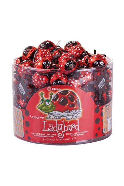 Pandoli Partidolu Uğur Böceği Fındık Krema Dolgulu Sütlü Kokolin Çikolata 50 ...