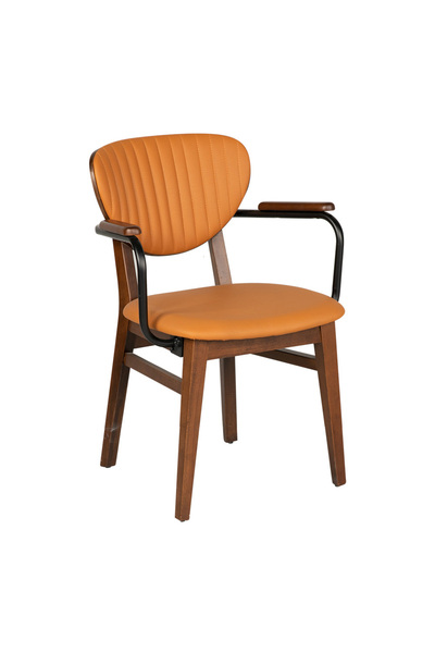 Zerenay Lion Kollu Dik Dikişli