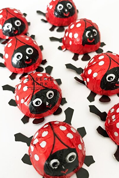 Sweetie Park Ladybird Lady Bird 10 Adet Ladybug Kırmızı Uğur Böceği Elvan Hed...