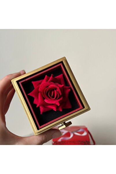 teknotrust KIRMIZI GÜLLÜ DÖNEN KUTU
