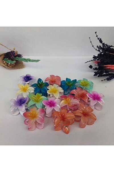 TaliaMark Σετ 6 μικρών αγκράφες λωτού