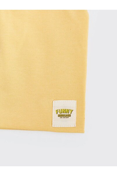 LC Waikiki LCW baby Baskılı Erkek Bebek Bere 2'li