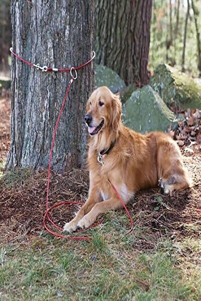 LİDERSAN ÇELİK 6 Mm 1.5 Meter Dog Garden Tethering Rope