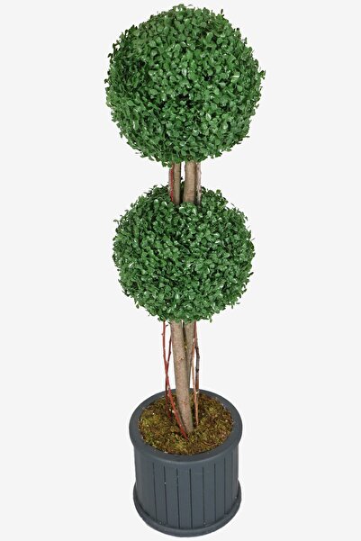 Yapay Çiçek Deposu Oval Çıtalı Saksıda Yapay 2 Katlı Şimşir Ağacı 110 Cm