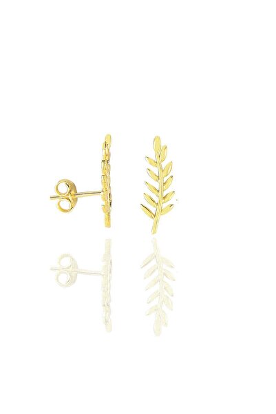 Söğütlü Silver Gümüş Altın Yaldızlı Yaprak Modeli Küpe Sgtl11434gold