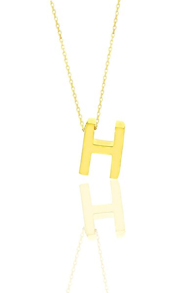 Söğütlü Silver Gümüş Altın Yaldızlı Üç Boyutlu Minimal H Harf Kolye Sgtl11180h