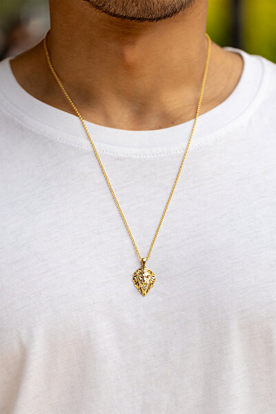 Cenova Jewelry 14 Ayar Altın Taş Detaylı Aslan Erkek Kolye